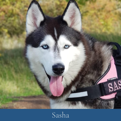 Sasha-
