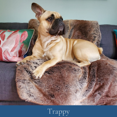 Trappy-